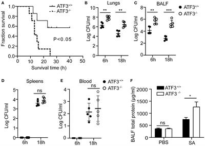 ATF3 Positively Regulates Antibacterial Immunity by Modulating Macrophage Killing and Migration Functions